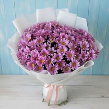 Букет цветов из:  Хризантемы в Полурядинки