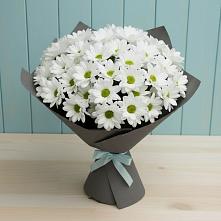 Букет цветов из:  Хризантемы #REPLACE_PRED# Полурядинки